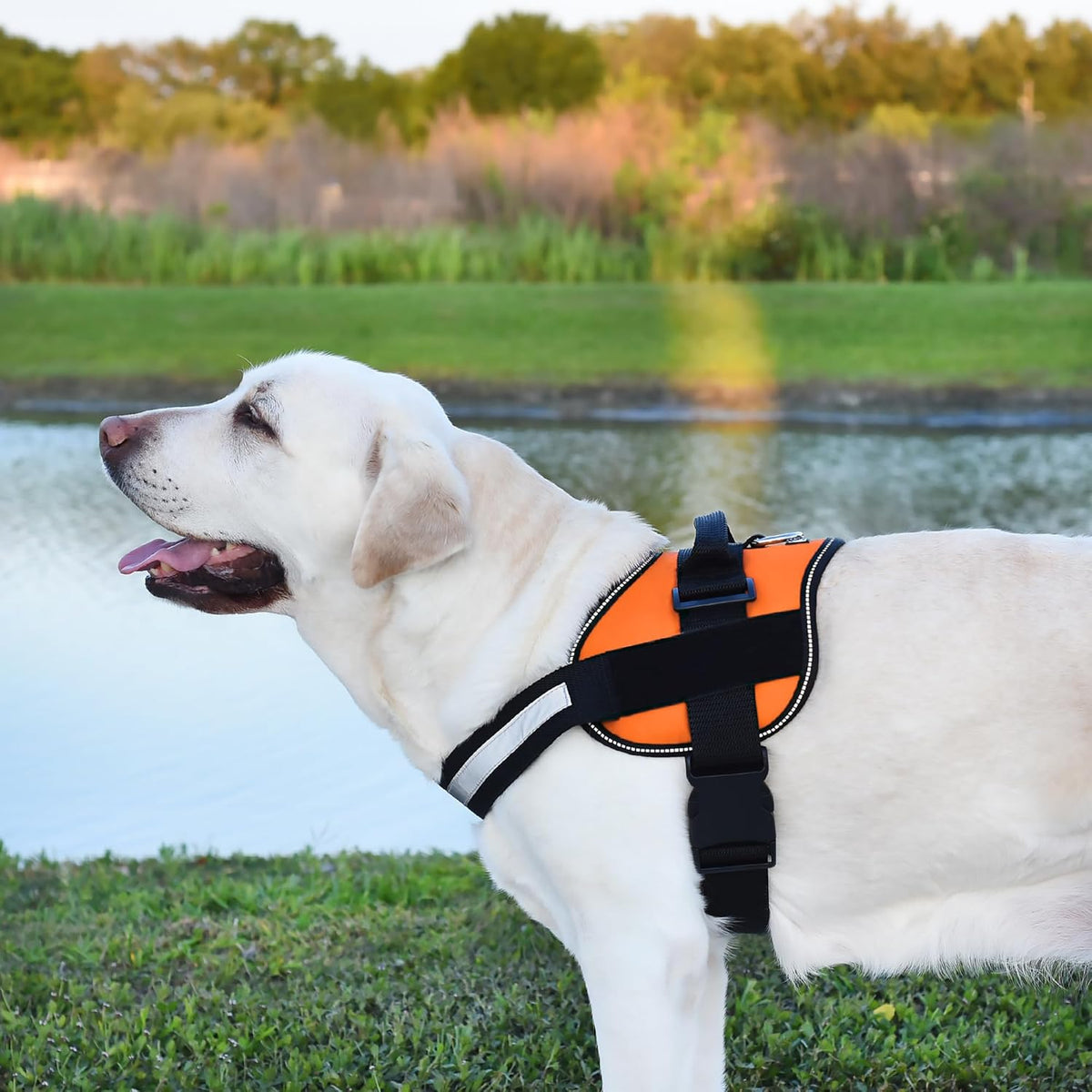 Dogline Dog Harness, Reflective No-Pull Adjustable Vest with Handle for Walking, Training, Breathable, No - Choke Harness for Small, Medium or Large Dogs Room for Patches Girth 33"-46" in Orange