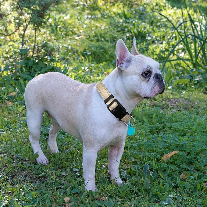 Reflective Dog Collar Padded with Soft Neoprene Breathable Adjustable Nylon Dog Collars for Small Medium Large Dogs (X-Small (Pack of 1), Vanilla Collar+Leash)