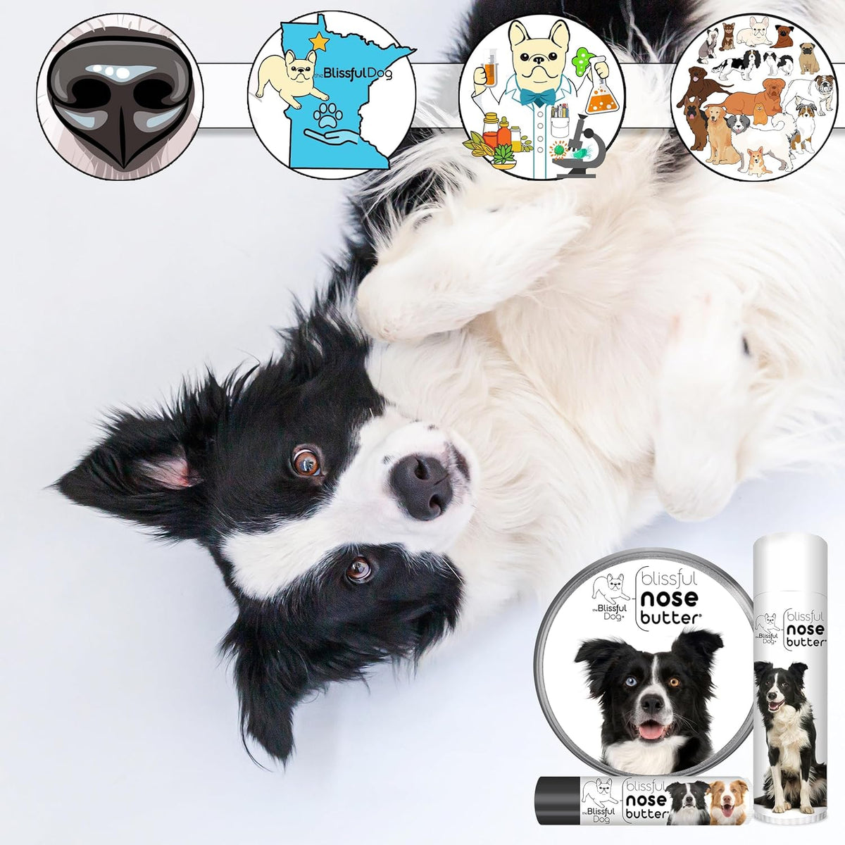The Blissful Dog Border Collie Nose Butter for Dry, Cracked Skin, Lick-Safe Dog Nose Balm with Moisturizing Shea Butter, Almond, Olive, and Essential Oils, Pet Supplies, Uncented, 2 oz.
