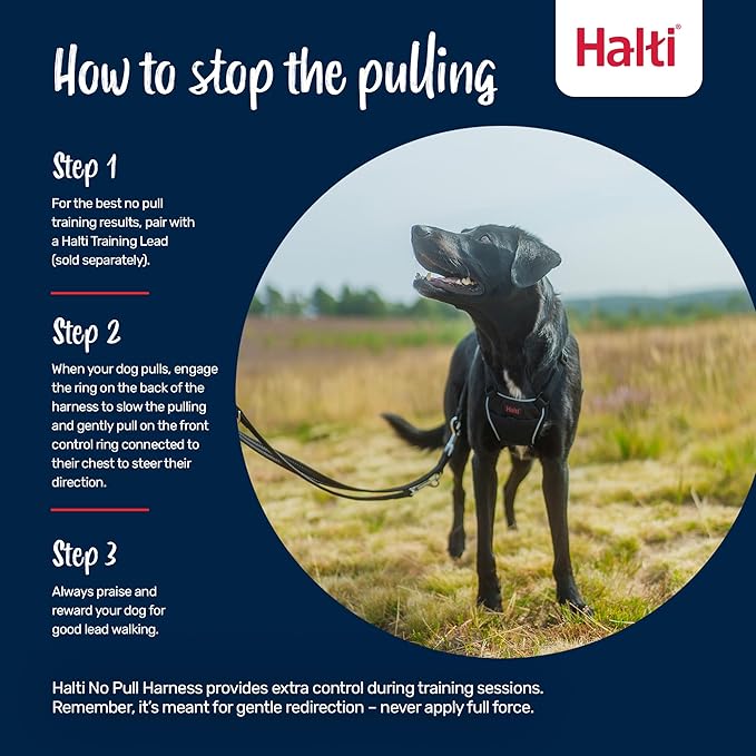 Halti No Pull Harness - Stop Your Dog Pulling on the Leash. Adjustable, Lightweight and Easy to Use. Reflective Dog Training Harness for Small Dogs (Size S, Forest Green)