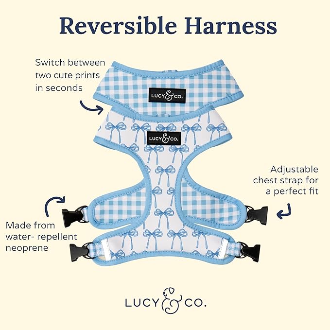 Lucy & Co. Cute Reversible Dog Harness Walking Halter - Best Designer Pet Harnesses for XS - XL Dogs - Padded Adjustable Vest for Easy Walking - Small - White with Blue Bows