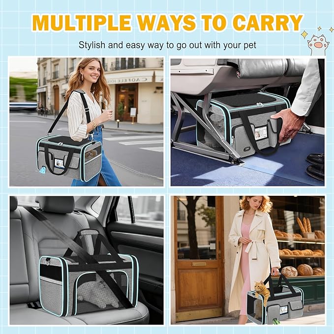 HUANLANG Soft-Sided Cat Carrier Airline Approved,Dog Carriers for Small Dogs Medium Cats,Pet Travel Carrier Up to 20 Lbs,Collapsible Cat Bag