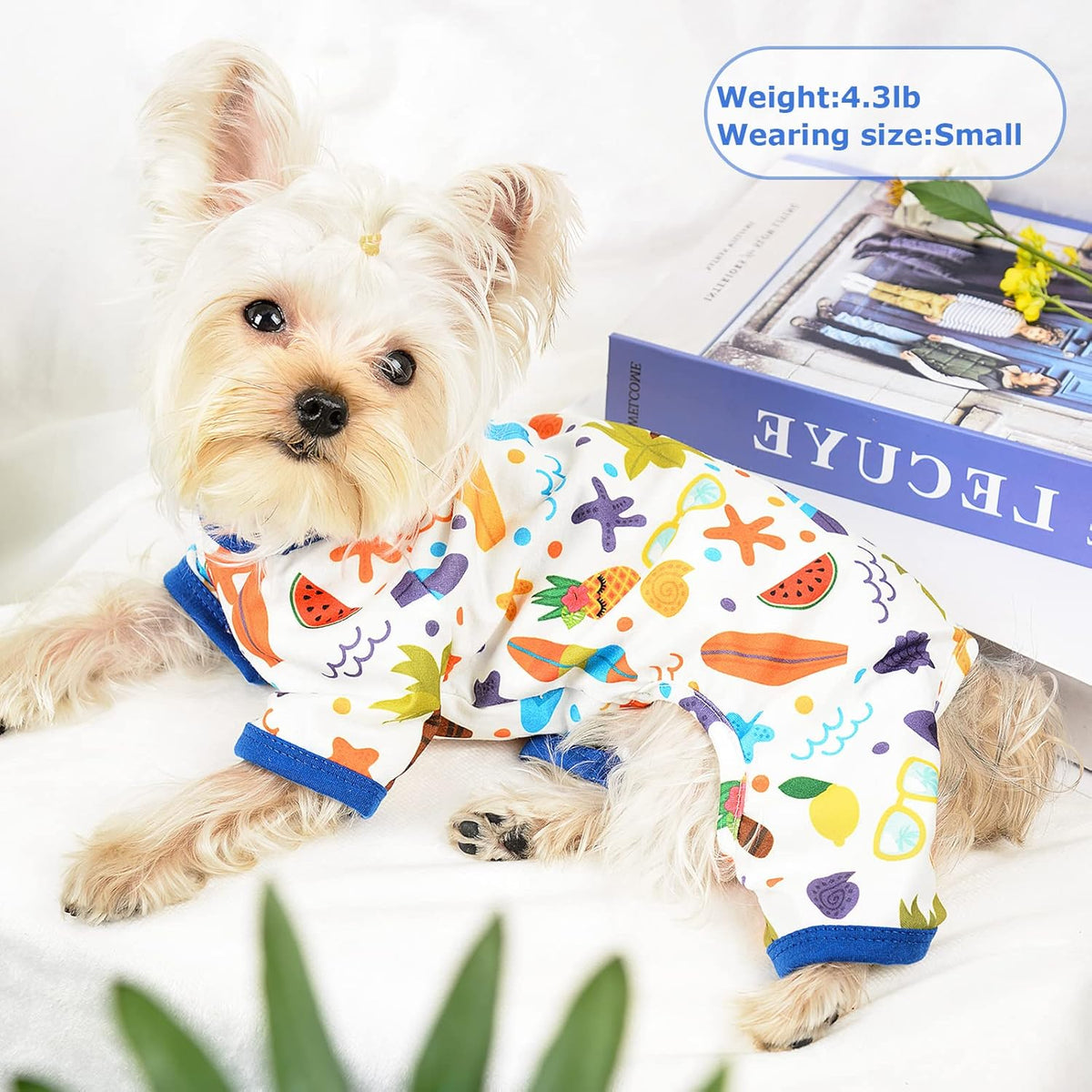 Dog Pajamas Pjs Fall Summer Dog Clothes for Small Dogs Girl - Boy - Medium Size Dogs, Soft Stretchy Puppy Clothes Doggie Onesies Cat Pet Jammies Outfit (Beach, X-Small)