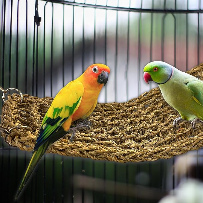 SIMENA Seagrass Mat for Birds, Natural Grass Woven Bird Net Hammock, Climbing Rope Ladder, Chew Toys for Parrots Lovebirds Cockatiels Conures Budgies, Cockatoos (Small)