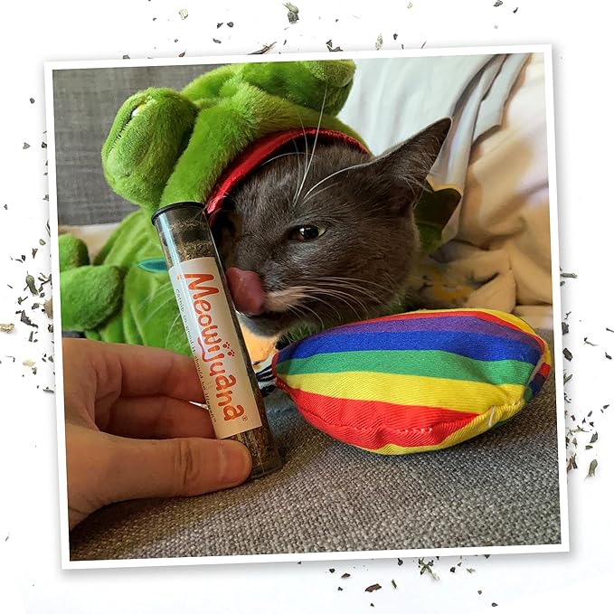 Meowijuana Get a Rise Bundle | Get a Rise Refillable Balloon Toy and Cloud 9 Catnip Blend | Promotes Play and Cat Health | Includes North American Organic Catnip