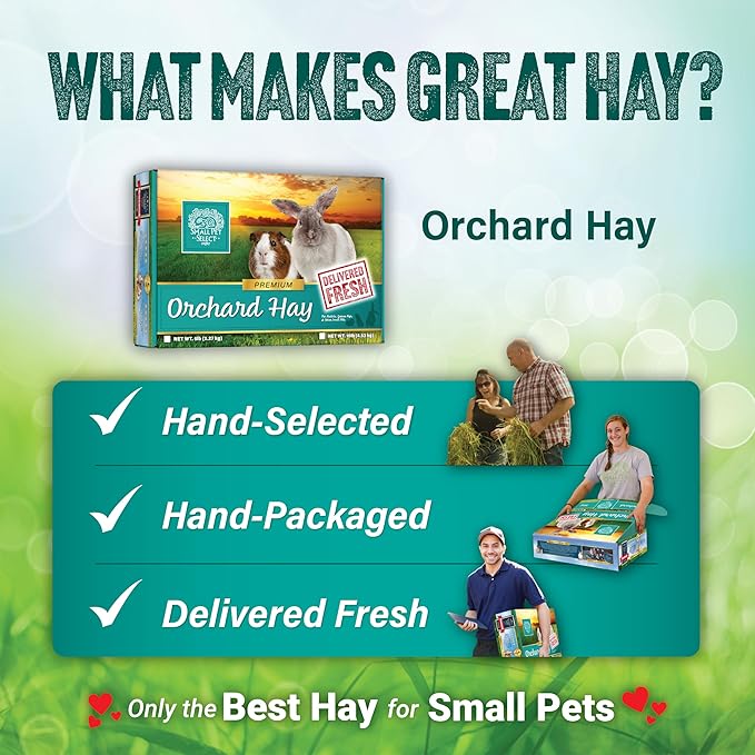 Small Pet Select Orchard Grass Hay Pet Food for Rabbits, Guinea Pigs, Chinchillas and Other Small Animals, Premium Natural Hay Grown in The US, 5 LB