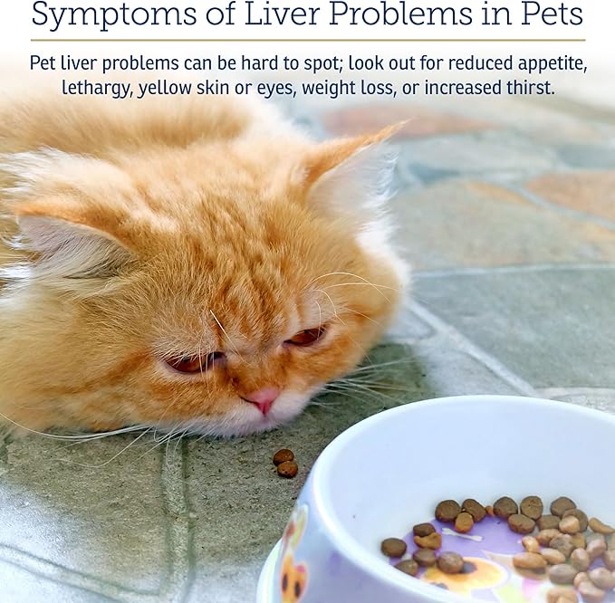 Rx Vitamins Liquid Hepato Support for Dogs & Cats - Liver Support Supplement with Milk Thistle for Dogs (Silymarin & Silybinin) and Vitamin B - Bacon Flavor (4oz)