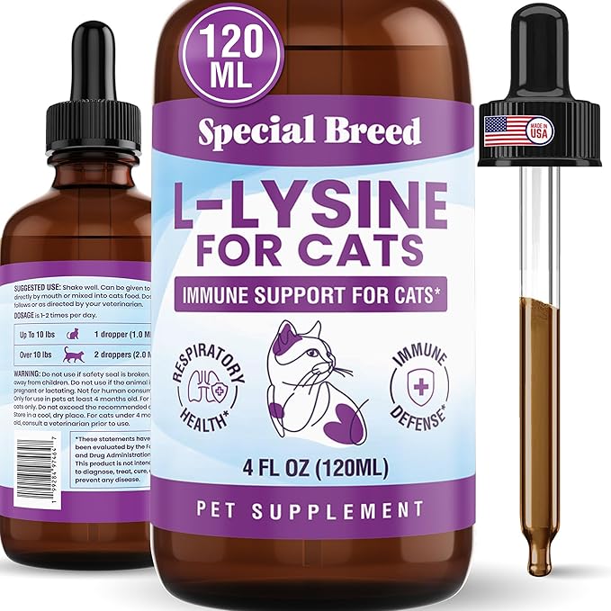 Special Breed L-Lysine for Cats & Kittens – Immune, Respiratory & Eye Health Support – Liquid Cat Supplement with Astragalus, Burdock, Atractylodes, Dangshen & Vitamins A, B1, B2, B6 – 4oz (120mL)