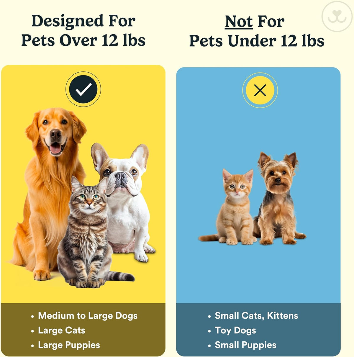 Jasper Dog Toothbrush, 360 Degree Pet Tooth Brushing Kit, Cat Toothbrush, Canine Dental Care & Teeth Cleaning Kit, Pet Finger Tooth Brush, Use with Dog Toothpaste, 4-Pack Neon