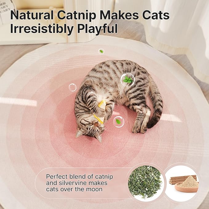 Potaroma Loofah Cat Chew Toys with Catnip and Silvervine, 3PCS Interactive Kitten Loofa Dental Teething and Biting Catnip Toys for Cat's Dental Cleaning, 3.2 Inches