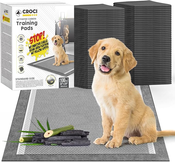 CROCI Charcoal Puppy Pads 23"x24" Standard Size, Odor-Control Carbon Dog Training Pads Absorbs Up to 4 Cups of Liquid, 6-Layer Leak-Proof & Quick Dry Pee Pads for Dogs, Disposable (100 Counts)