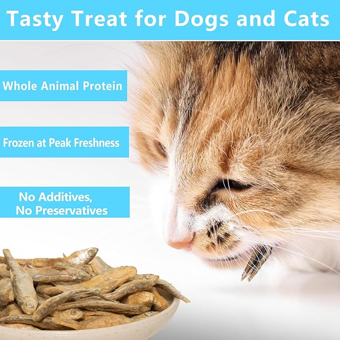 Minnows - 8.5 oz Freeze Dried Minnows for Cats & Dogs - 100% Natural Premium Cat & Dog Treat (8.5 OZ)