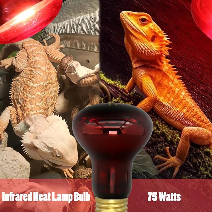 Reptile Heat Lamp Bulb 75 Watt, Infrared Red Heat Light Bulb Basking Spot Lamp for Bearded Dragon, Reptiles Amphibian, Chickens Coop, Lizard, Turtle, Hermit Crab, Leopard Gecko, Snake, 2 Pack