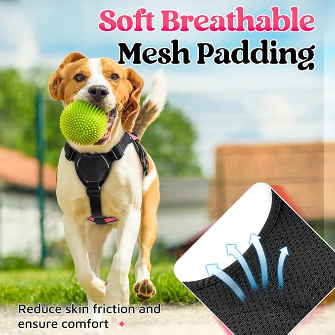 rabbitgoo Escape Proof Dog Harness, Soft Padded Full Body Pet Harness, Reflective Adjustable No Pull Vest with Lift Handle and Leash Clip for Large Dogs Walking Hiking Training, S, Pink