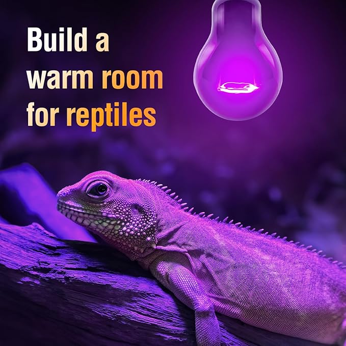 Leoterra Night Heat Bulbs for Reptile 2Pack100W,Night Black Light Bulbs for Lizard Bearded Dragon Leopard Snake Turtle, Chameleon Use 120V E26 Base