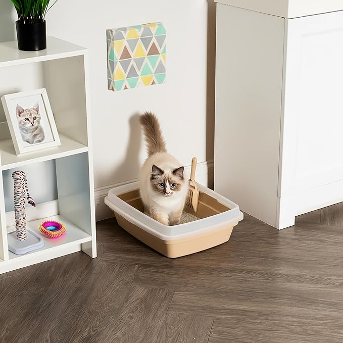 IRIS USA Cat Litter Box, Open Top with Scoop, Easy Clean Plastic Pan for Indoor Cats & Kittens, Beige
