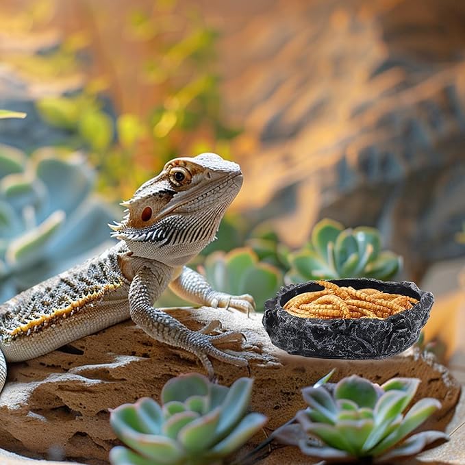 3 Pack Reptile Water Dish, Samll Snake Water Bowl, Leopard Crested Gecko Tank Accessories, Bearded Dragon Food Dish, Feeding Dish Kit for Tortoise, Lizard, Frog, Hermit Crab (3 Pack)