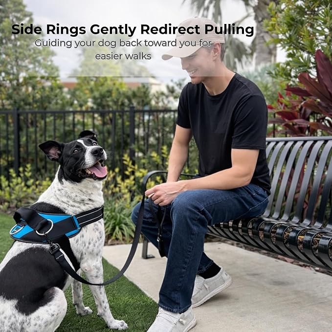 ShawnCo Essential Dog Harness, No-Pull Pet Vest with 3 Leash Clips, No Choke, Reflective, Adjustable and Padded, for Easy Walking and Training for Small, Medium and Large Dogs (Midnight, XL)