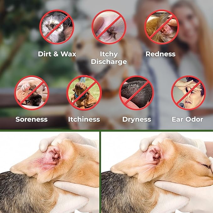 Arava Ear Cleaner Wipes for Dogs Cats Puppies Kittens - 100 Count - Natural Medicated Cleansing Deodorizer - Removes Dirt Wax - Pet Wipes for Cat Ear Cleaning, Dog Ear Cleaner