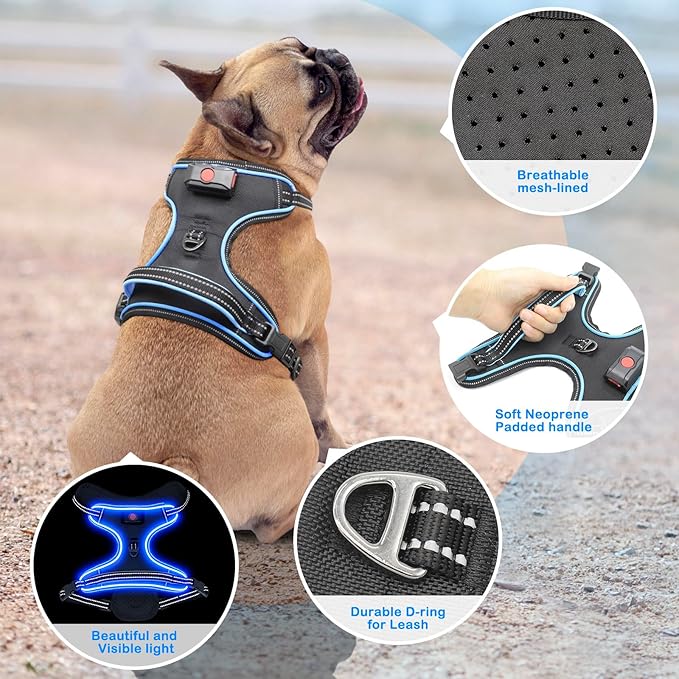 Rechargeable LED Dog Harness - No Pull, 4 Point Adjustable, Lighted Vest for Small/Medium/Large/X-Large Dogs