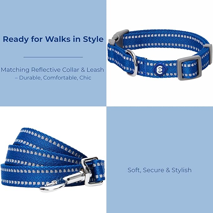 Blueberry Pet Essentials Reflective Dog Collar & Leash Set, Adjustable for Large Dogs | Safe Walking Gear for Pet Parents, Puppy Training & Daily Use LargeDogs, Navy