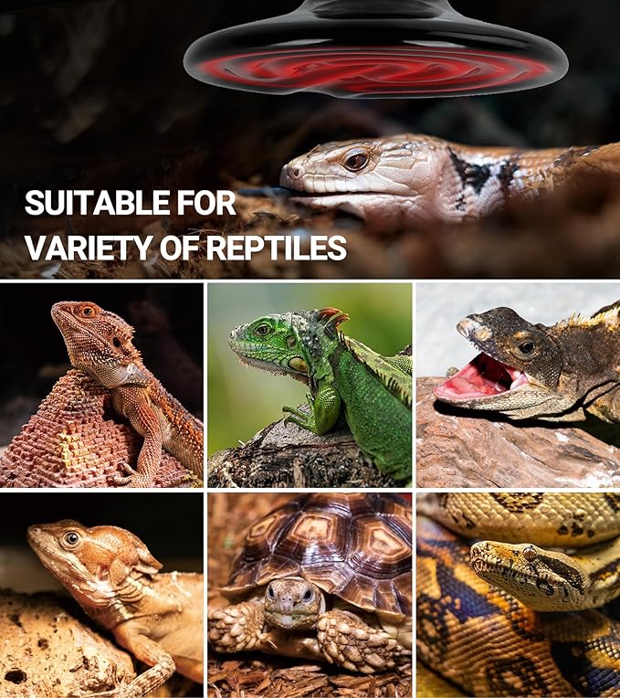 REPTI ZOO 150W Reptile Heat Lamp 2Pack Ceramic Heat Emitter Night Heat Lamp Bulbs Reptile Terrarium Heat lamp Tank Heat Bulb for Turtle Bearded Dragon Gecko Lizard Snake Chicken E26