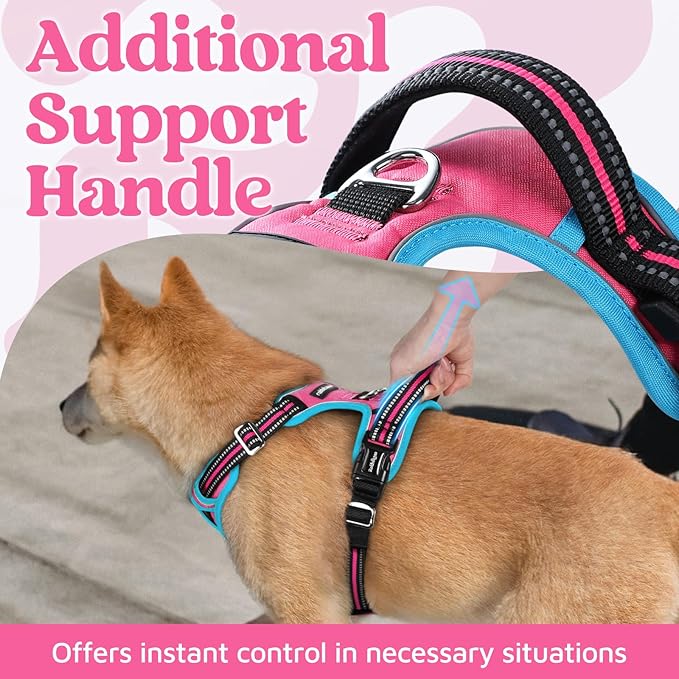 rabbitgoo Dog Harness Medium Sized, No Pull Dog Vest with 3 Buckles, Adjustable Soft Padded Pet Harness with Easy Control Handle and Reflective Strips, Rose Pink & Blue, M