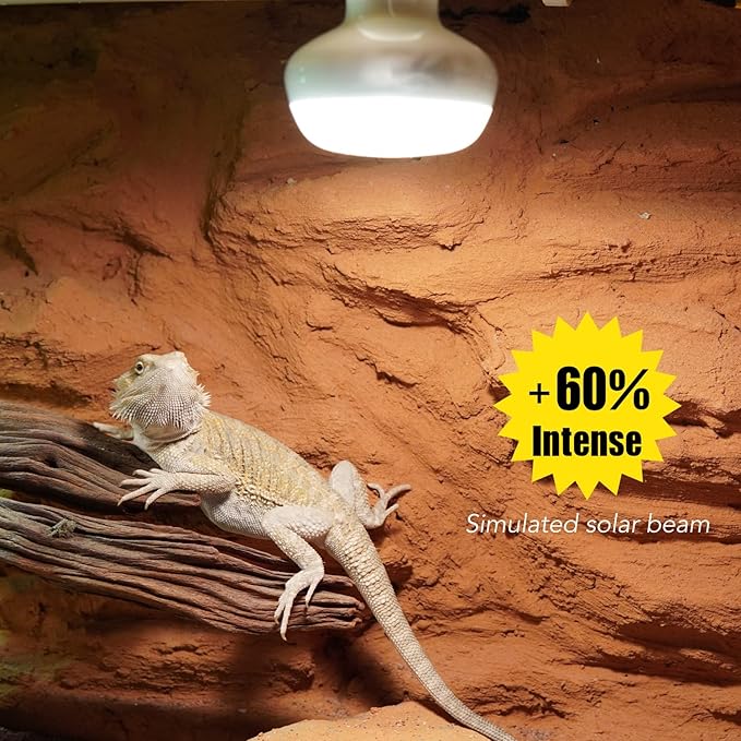 Reptile Heat Lamp, 2 Pack 75W Intense and Infrared Basking Bulbs Light for Reptiles, UVA Daylight Night Red Basking Light for Bearded Dragon, Lizard, Gecko,Reptile Heat Bulb