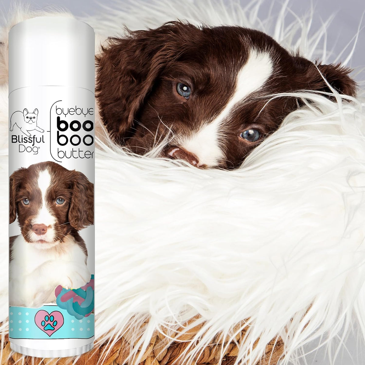 The Blissful Dog Springer Spaniel Boo Butter, 0.50 oz