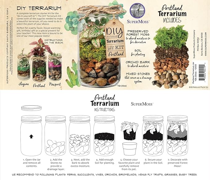 Portland Terrarium kit - DIY Mason Jar Terrarium Kit