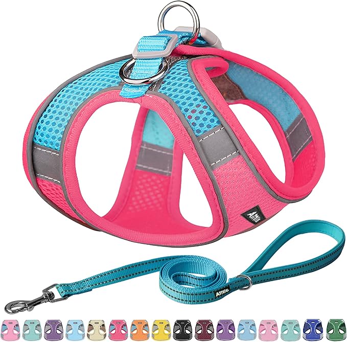 AIITLE No Pull Dog Harness and Leash Set, Step in Adjustable Dog Harness with Padded Vest for All Weather, Dog Leash with Soft Padded Handle, Easy to Put on Small and Medium Dogs Hot Pink S