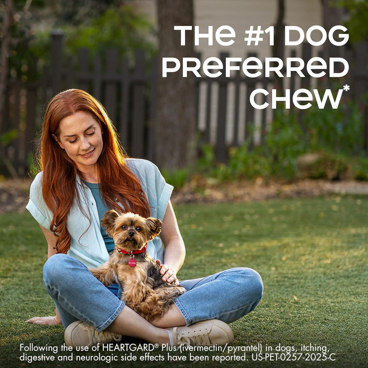 HEARTGARD® Plus (ivermectin/pyrantel) Real-Beef Chewables for Dogs 51-100 lbs (Brown Box) 6 Month Supply of Chews (Heartworm Disease Preventive)