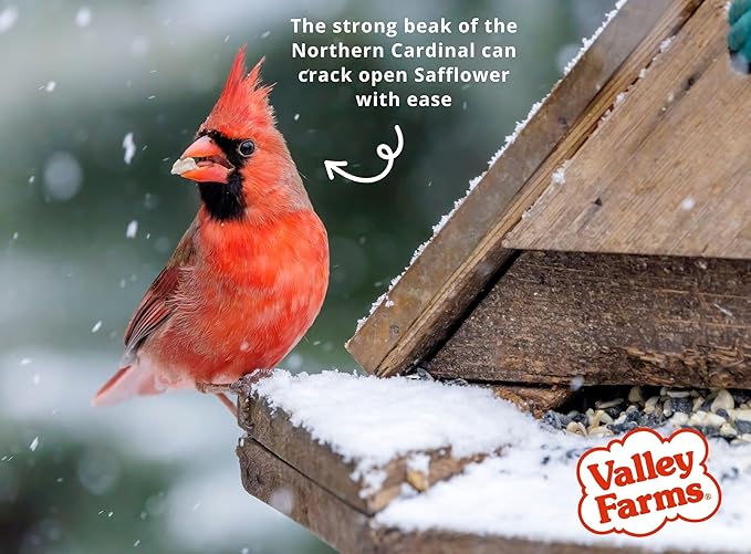 Valley Farms Fruit Nut & Berry 4 LB 2-Pack (8 LB Total) Wild Bird Food for Outside Feeders, Bird Seed with Dried Fruit, Peanuts Sunflower Hearts, Safflower High Energy Mix for Healthy Birds!