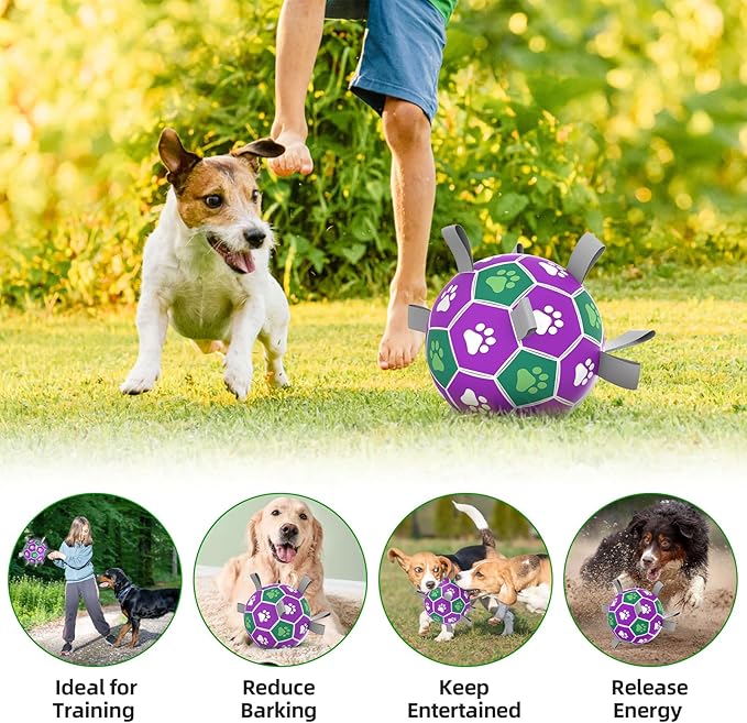 Dog Toys Soccer Ball with Nylon Strap, Puppy Birthday Gifts, Dog Outdoor Toys, Durable Fetch Ball Dogs Toy for Puppy Small Medium Breed (6 inch)