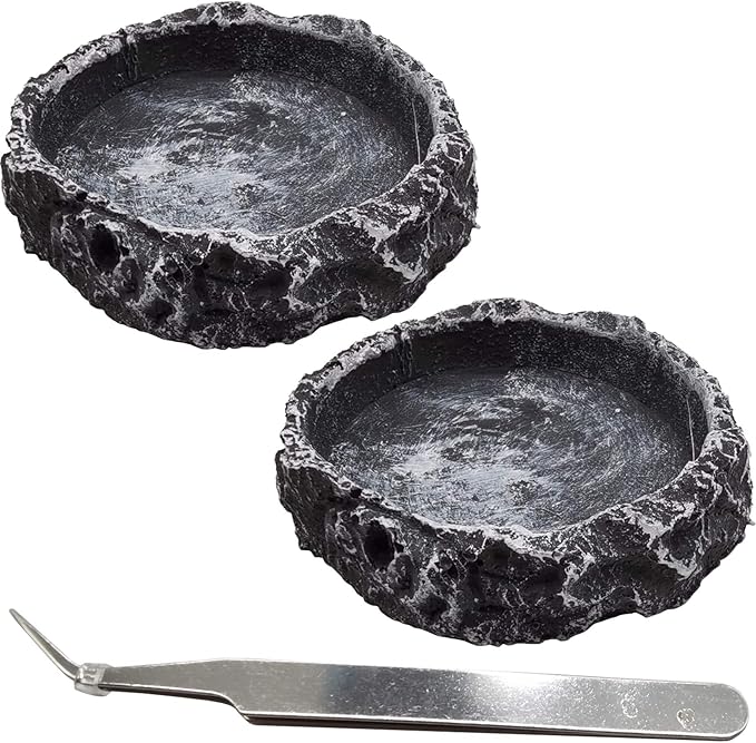 RONYOUNG 2PCS Reptile Water Bowls Reptile Feeder Food Dish with Tongs for Tortoise Lizard Bearded Dragon Frog Leopard Gecko Snake Chameleon