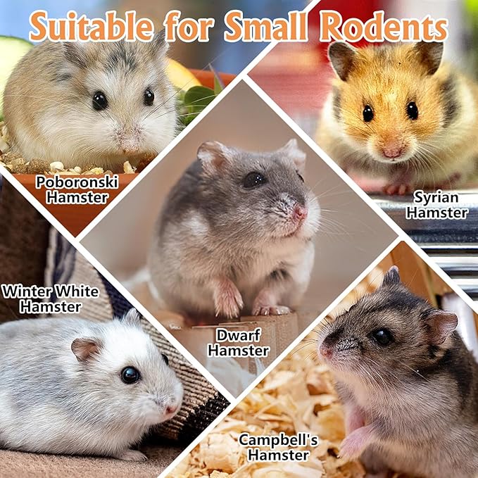 Tfwadmx Wooden Small Animal Hideout & Ramp - Hamster Tunnel System with Climbing Ladder, Peep Shed and Digging Chambers for Mice, Dwarf Hamsters