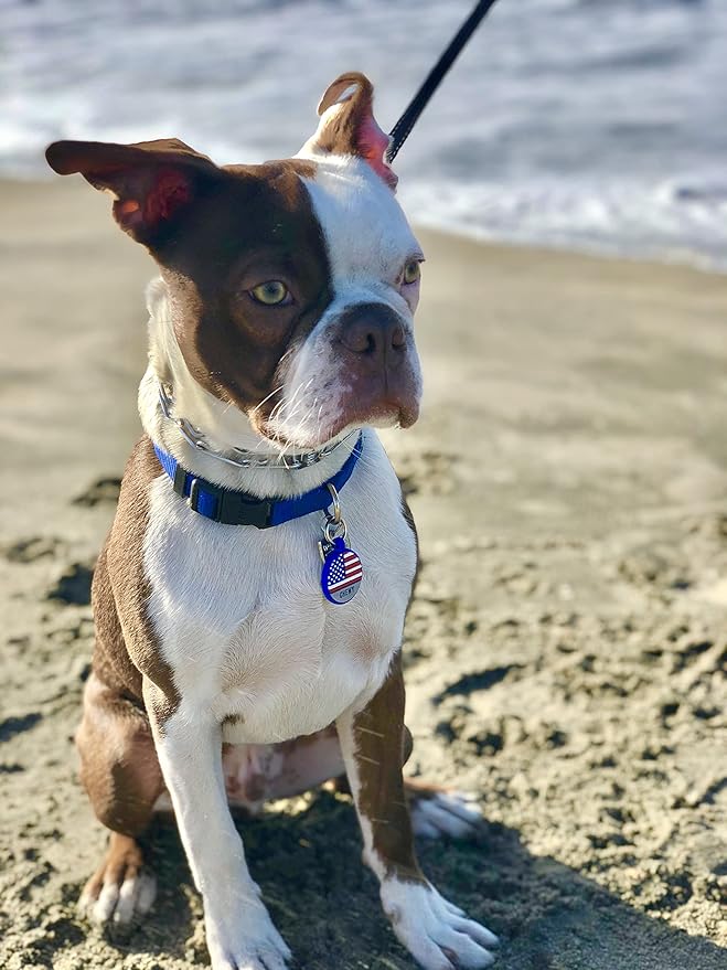 LYP Original Soundless Pet ID Tags | Custom Dog Tags Personalized for Pets | Durable Silicone Deep Engraved Dog Tag | No More Jingling | U.S. Flag