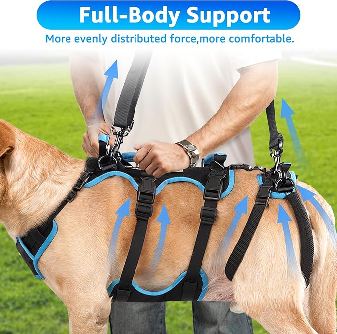 Dog Lift Harness for Medium Male Dogs Friendly, 2 in 1 Detachable Support Harness, Full Body Dog Carrying with 4 Handles for Old/Disabled/Joint Injuries Dogs (Black, Medium)