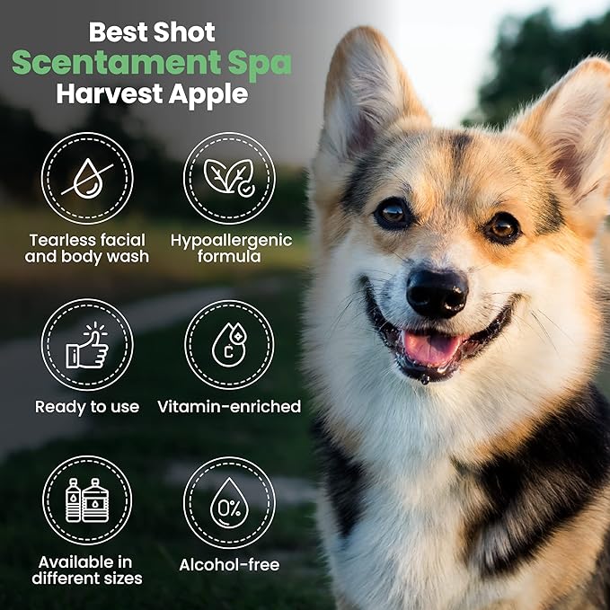 Best Shot Scentament Spa Seasonal Facial & Body Wash, Harvest Apple, 1 Gallon
