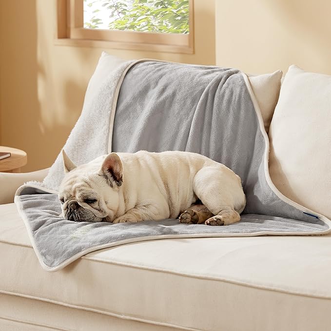 Bedsure Waterproof Dog Blankets for Medium Dogs - Medium Cat Blanket Washable for Couch Protection, Sherpa Fleece Puppy Blanket, Soft Plush Reversible Throw Furniture Protector, 30"X40", Light Grey