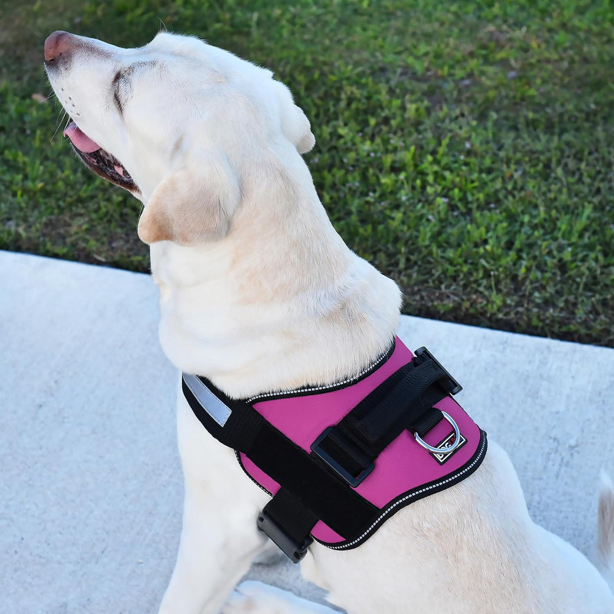 Dogline Dog Harness, Reflective No-Pull Adjustable Vest with Handle for Walking, Training, Breathable, No - Choke Harness for Small, Medium or Large Dogs Room for Patches Girth 33"-46" in Pink