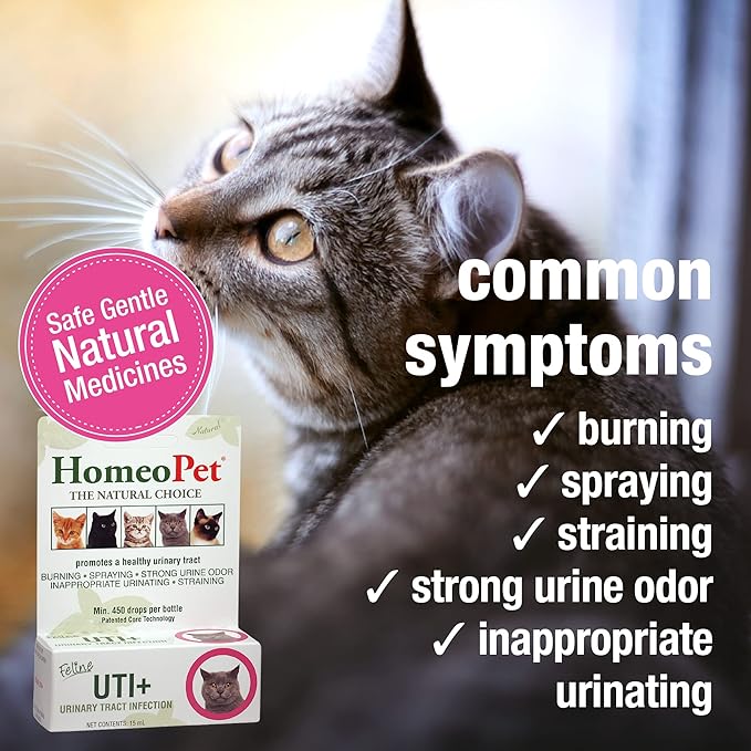 HomeoPet Feline UTI Plus, Safe and Natural Urinary Tract Supplement for Cats, Feline Urinary Tract Support, 15 Milliliters