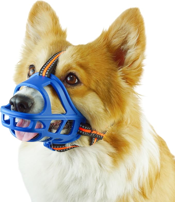 Dog Muzzle, Basket Muzzle for Small Medium Large Dogs, Anti-Biting and Chewing, Lightweight & Sturdy Cage Design, Allows Panting & Drinking, Ideal for Grooming & Training（Blue Size S）