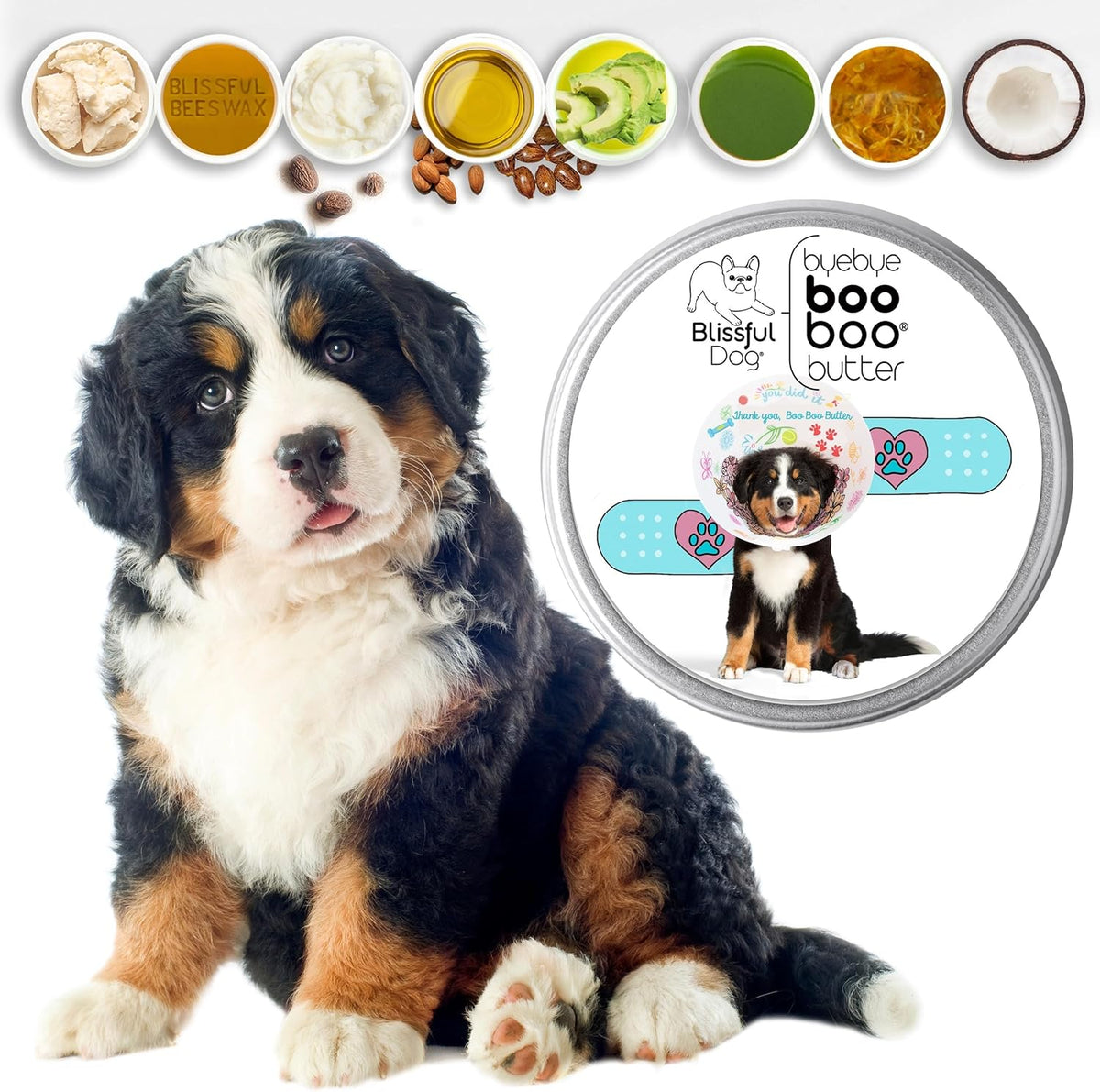 The Blissful Dog 1 oz TIN Bernese Mountain Dog Booboo Butter