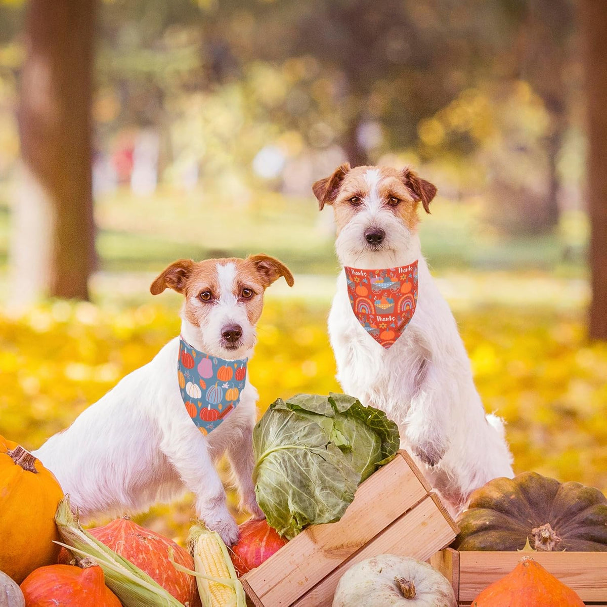 ADOGGYGO Thanksgiving Dog Bandana - Blue Orange Pumpkin Puppy Scarf, Adjustable Fit Fall Bandanas for Small Dogs Pets (Small)