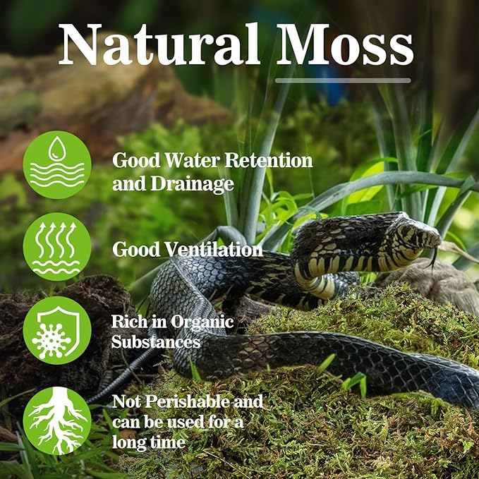 Sukh Sphagnum Moss for Reptiles - Terrarium Reptiles Moss Green Dried Peat Moss Habitat Bedding Moss for Snakes Turtle Frog Gecko and Other Reptiles Substrate (5, Ounces)