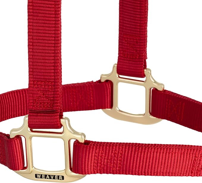 Weaver Equine Nylon Horse Halter, Triple-Ply Cheek Design, Original Non Adjustable Halters for Horses, Equine Tack,Average Size, Black