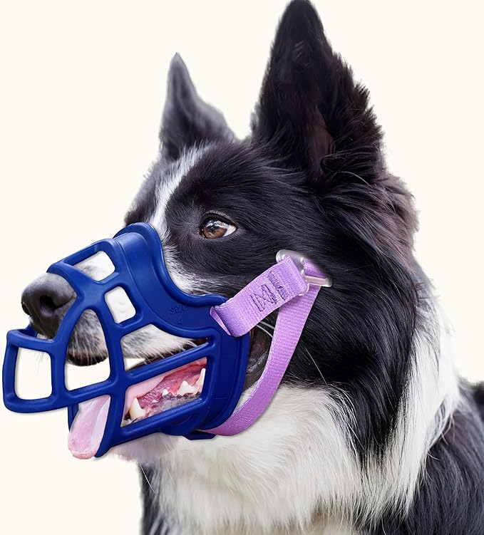 Basket Muzzle Allows Panting Drinking, Anti Biting Chewing, Suitable for Grooming Trimming Training, for Small Medium Large Dogs (Blue, Size 4)