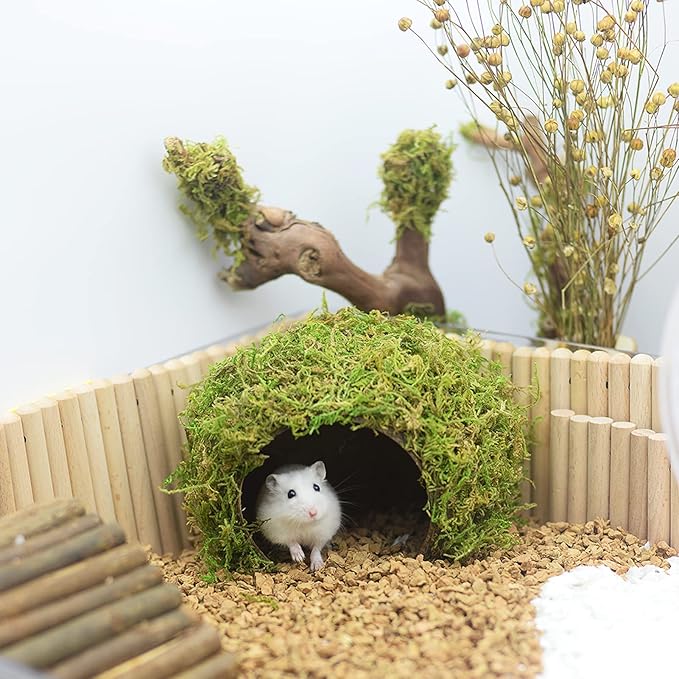 Hamster Hideaway/Hideout,Mossy Cave Hide,Hamster House/Hides,Hamster Cage Accessories for Gguinea Pig/Hedgehogs/Gliders/Rats/Mice and Other Small Animals(Set)