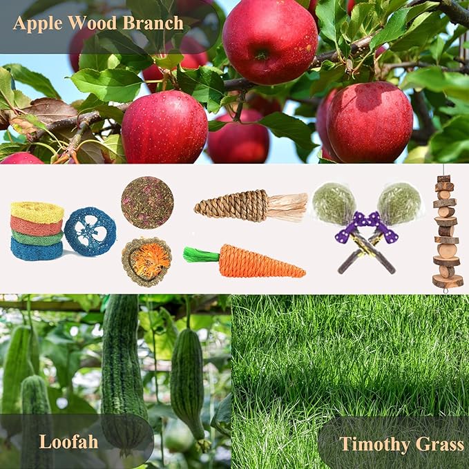 Grddaef 18 PCS Bunny Toys, Rabbit Toys Guinea Pig Toy Natural Apple Wood Grass Timothy Sticks Chew and Treat for Guinea Pigs Hamster Chinchillas